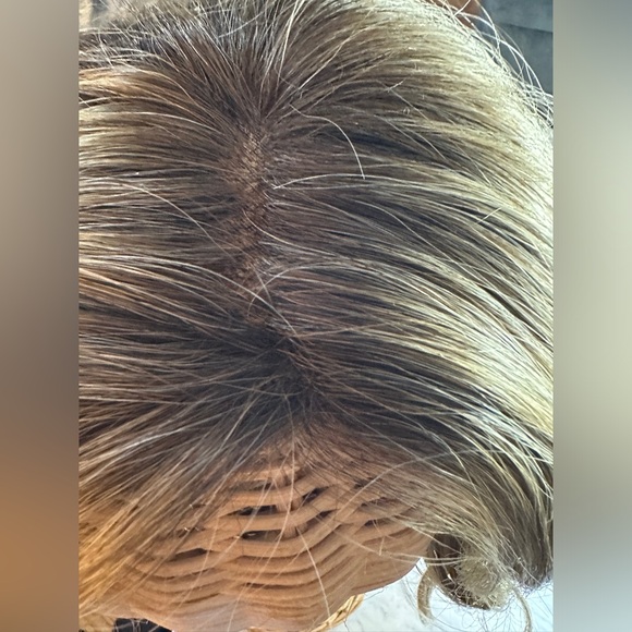 Raquel Welch Bella Vida Shaded Sand 100% Handtied HF Wig Lacefront MonoTop - Picture 9 of 15